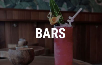 Logan Square - Bars