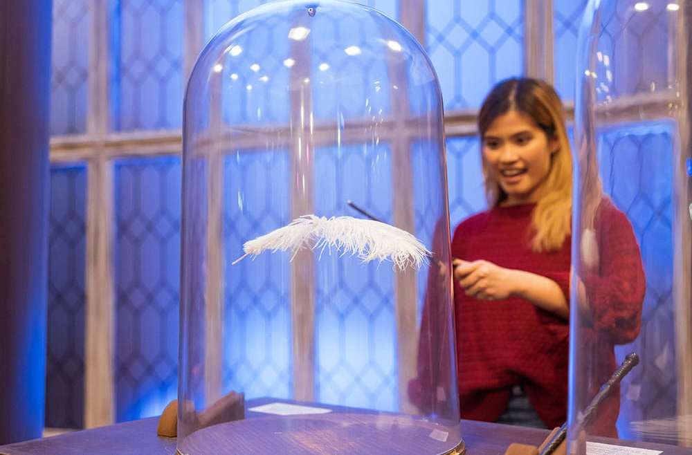 harry potter chicago